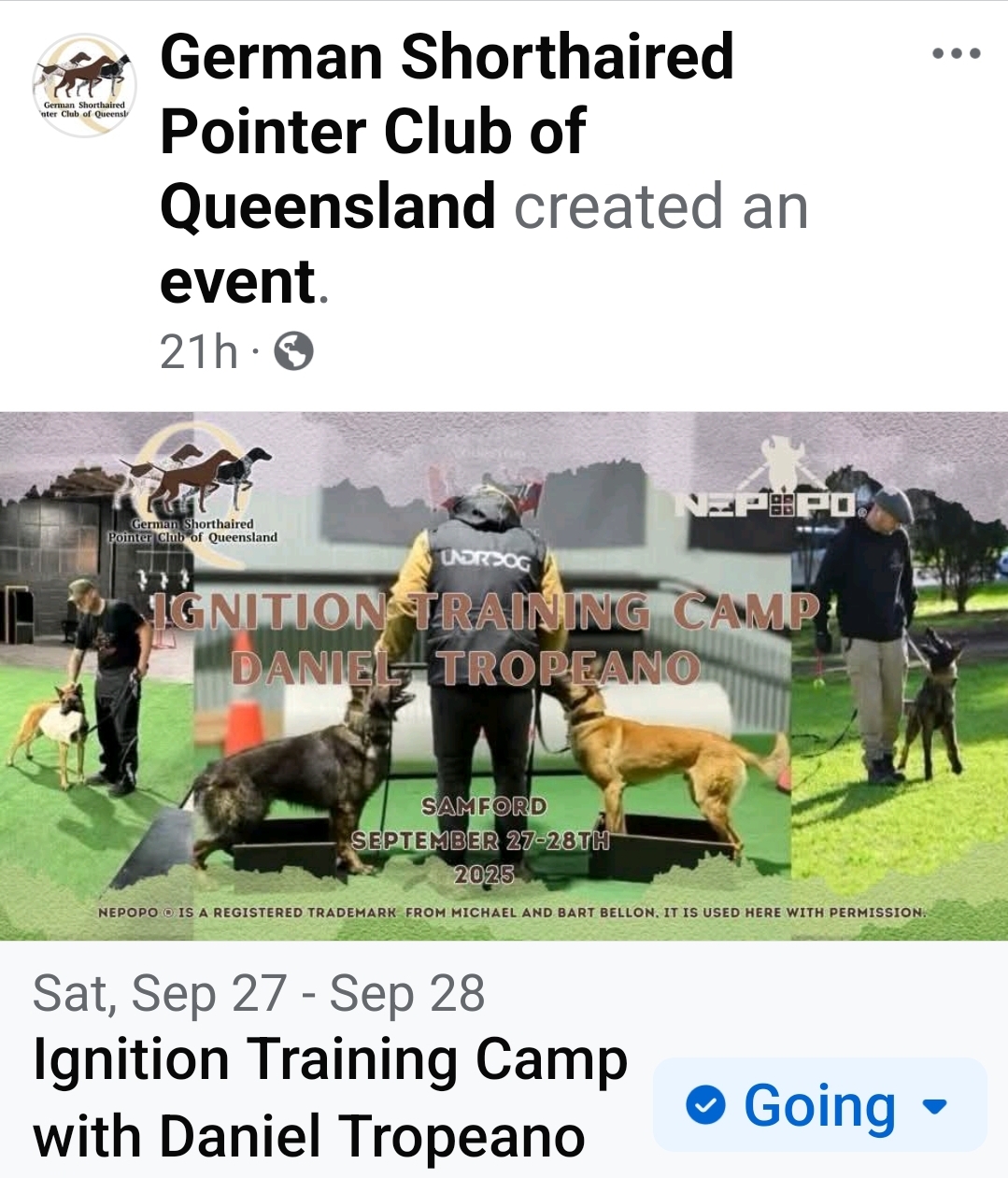 Responsive image