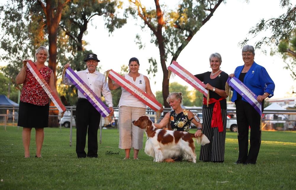 Coffs Harbour District All Breeds Kennel Club (AM Show) Show Manager