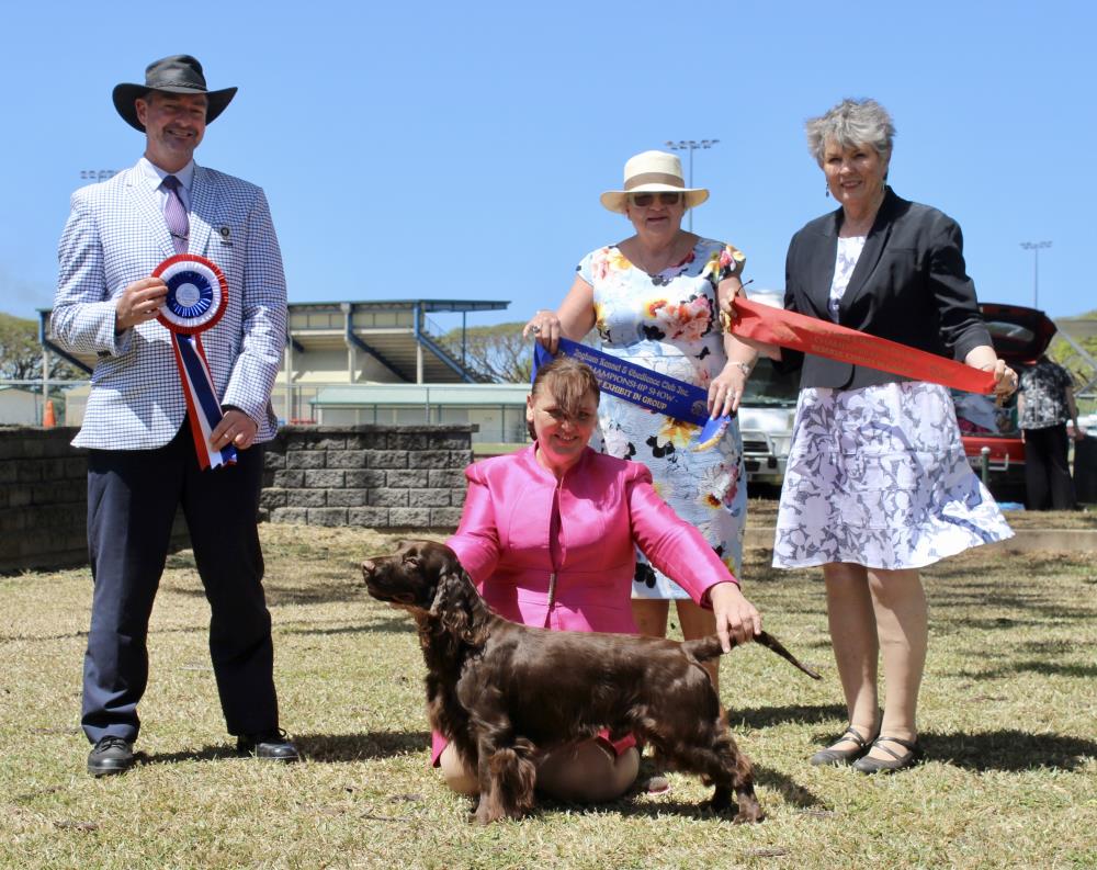 Mackay Kennel Club Inc Show Manager Results