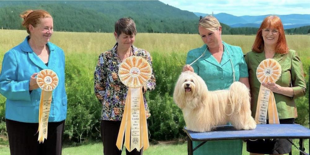 Canberra All Breeds Kennel Club PM Show Show Manager Results   158087 5180 