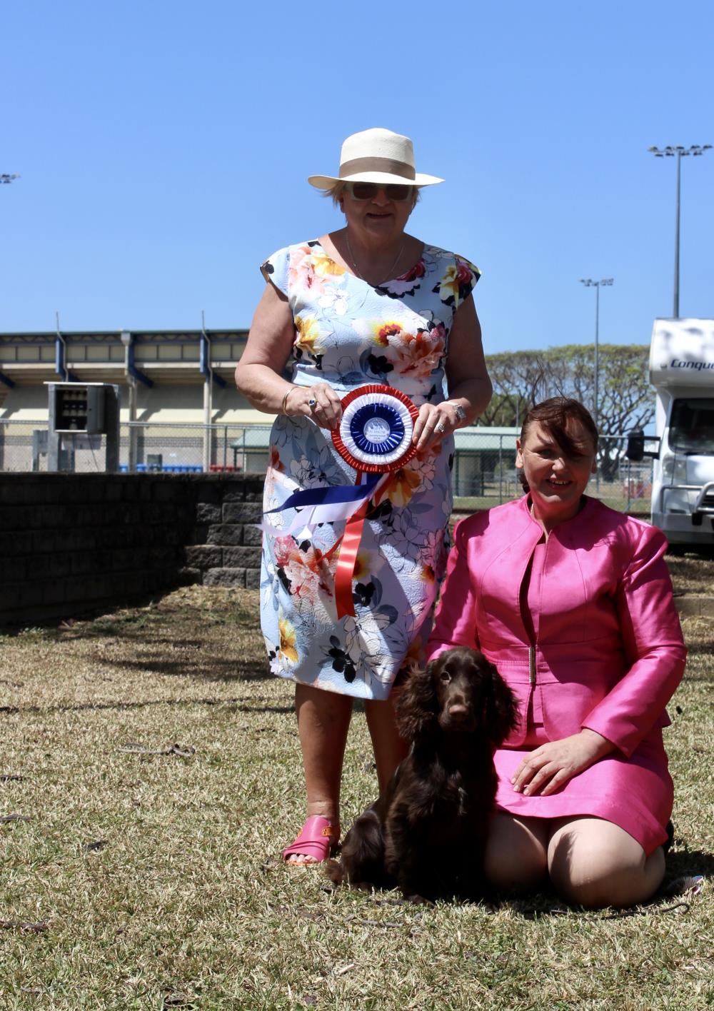 Mackay Kennel Club Inc Show Manager Results